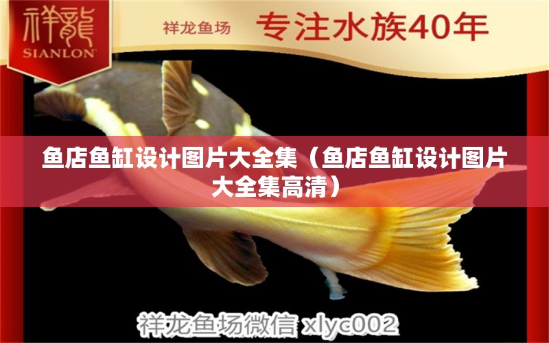 魚店魚缸設(shè)計圖片大全集（魚店魚缸設(shè)計圖片大全集高清） 帝龍漁業(yè)