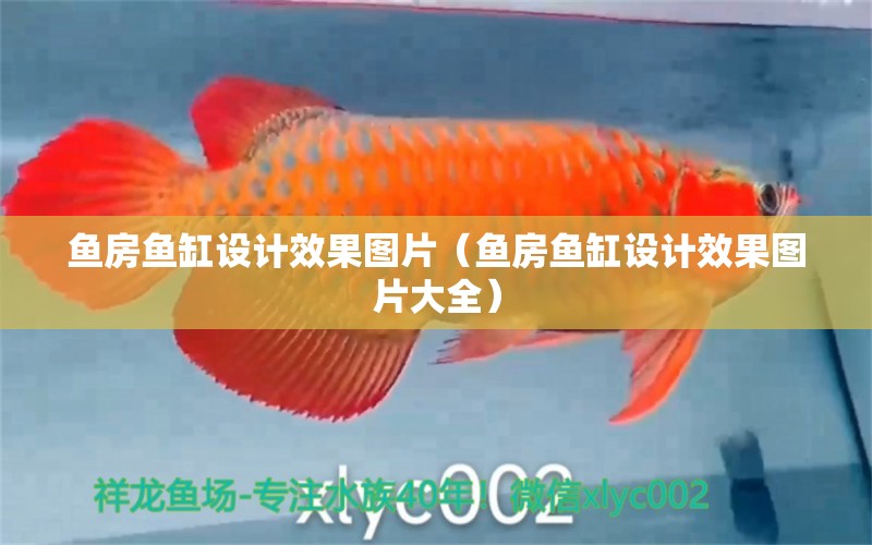 魚房魚缸設(shè)計效果圖片（魚房魚缸設(shè)計效果圖片大全）