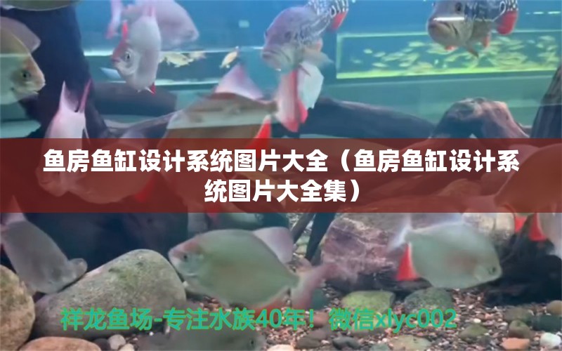 魚(yú)房魚(yú)缸設(shè)計(jì)系統(tǒng)圖片大全（魚(yú)房魚(yú)缸設(shè)計(jì)系統(tǒng)圖片大全集）