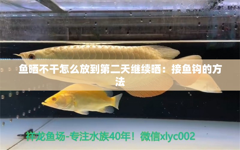 魚曬不干怎么放到第二天繼續(xù)曬：接魚鉤的方法