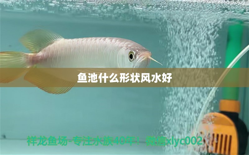 魚池什么形狀風水好