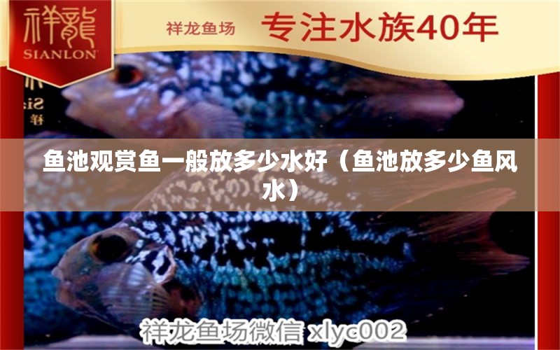 魚(yú)池觀(guān)賞魚(yú)一般放多少水好（魚(yú)池放多少魚(yú)風(fēng)水）