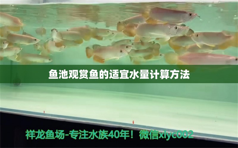 魚(yú)池觀賞魚(yú)的適宜水量計(jì)算方法