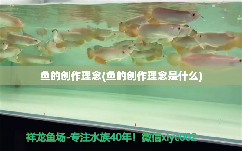 魚的創(chuàng)作理念(魚的創(chuàng)作理念是什么) 祥龍水族護(hù)理水