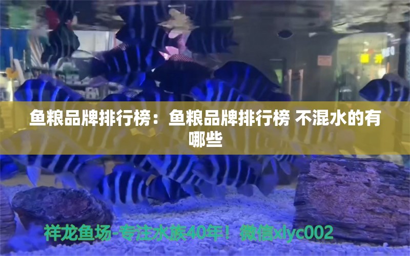 魚糧品牌排行榜：魚糧品牌排行榜 不混水的有哪些 觀賞魚