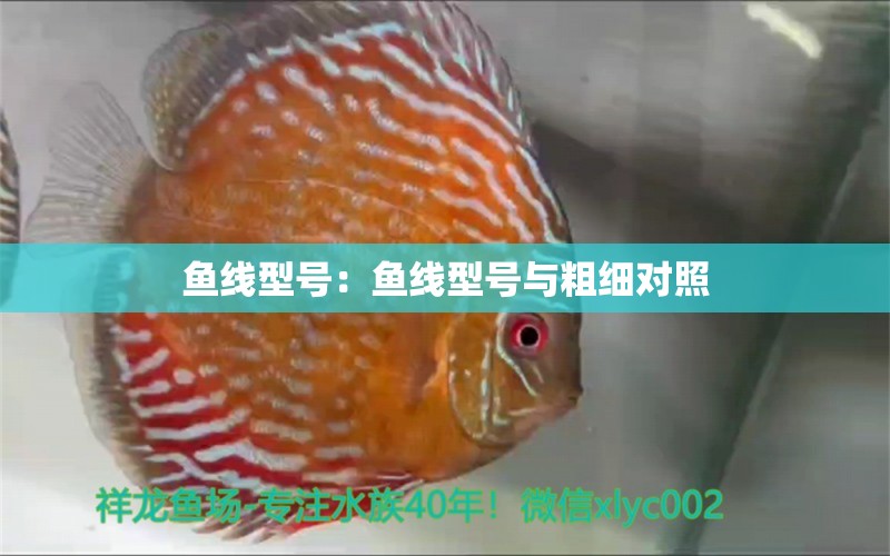 魚線型號：魚線型號與粗細對照