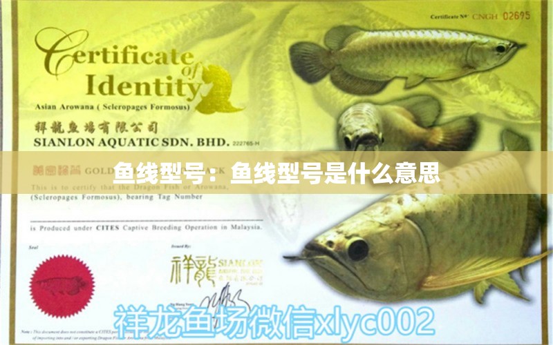 魚線型號(hào)：魚線型號(hào)是什么意思 垂釣樂園