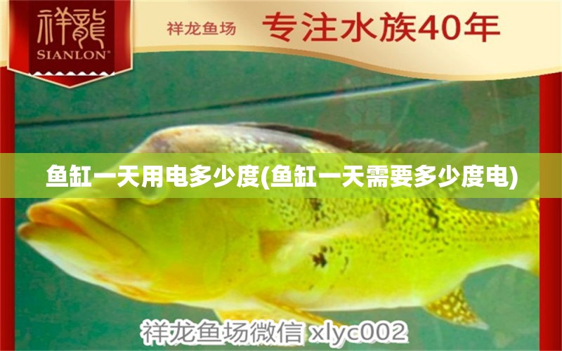 魚(yú)缸一天用電多少度(魚(yú)缸一天需要多少度電) 黃金斑馬魚(yú)