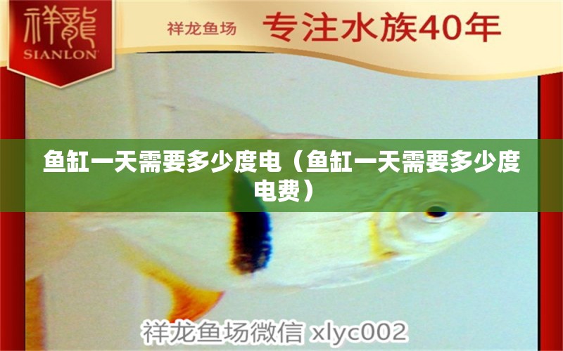 魚缸一天需要多少度電（魚缸一天需要多少度電費(fèi)） 祥龍水族醫(yī)院