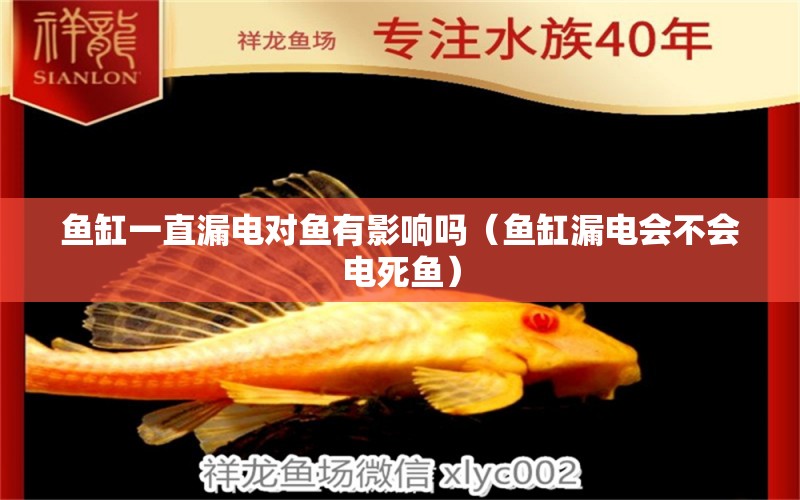 魚缸一直漏電對(duì)魚有影響嗎（魚缸漏電會(huì)不會(huì)電死魚） 撒旦鴨嘴魚