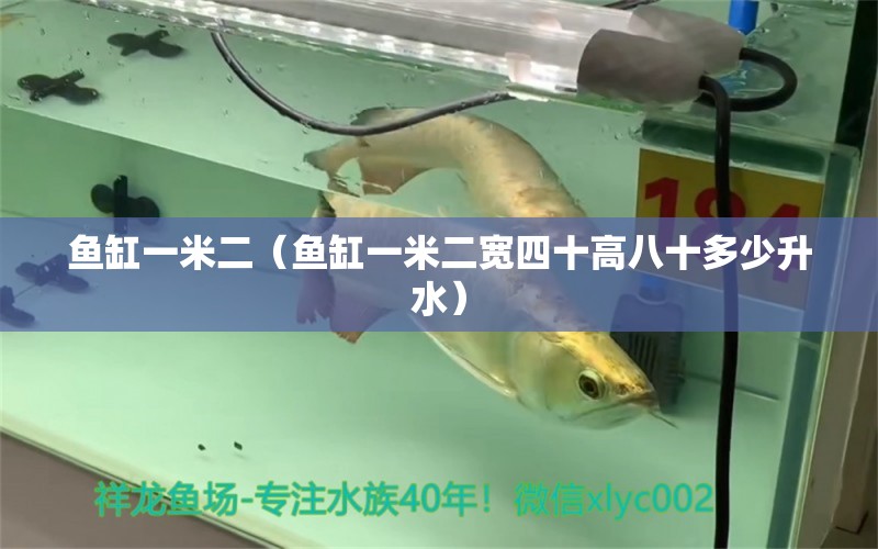 魚缸一米二（魚缸一米二寬四十高八十多少升水）