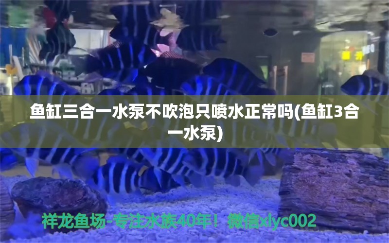 魚缸三合一水泵不吹泡只噴水正常嗎(魚缸3合一水泵) 元寶鯽