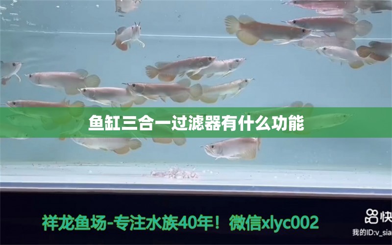 魚缸三合一過濾器有什么功能