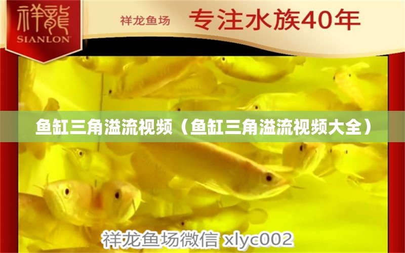 魚缸三角溢流視頻（魚缸三角溢流視頻大全）