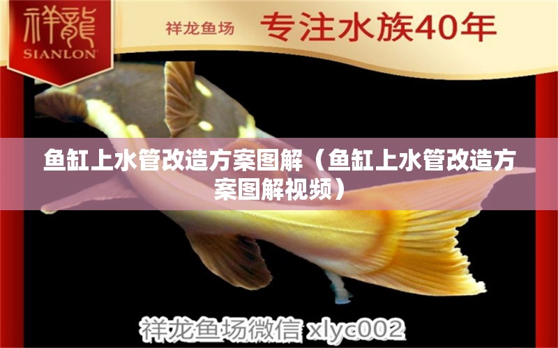 魚缸上水管改造方案圖解（魚缸上水管改造方案圖解視頻）