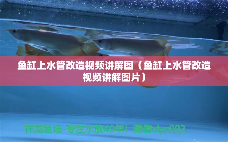 魚缸上水管改造視頻講解圖（魚缸上水管改造視頻講解圖片）