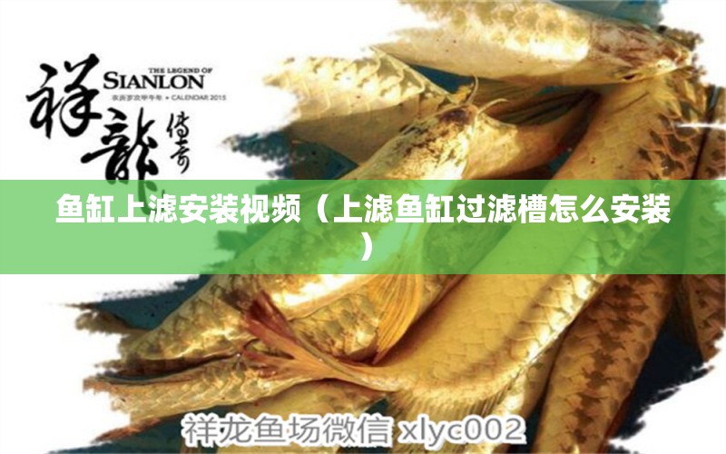 魚缸上濾安裝視頻（上濾魚缸過濾槽怎么安裝）