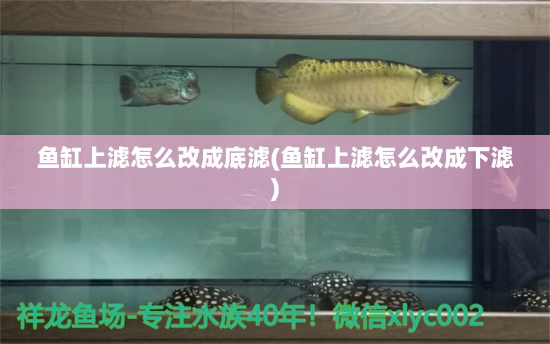 魚缸上濾怎么改成底濾(魚缸上濾怎么改成下濾) 暹羅巨鯉