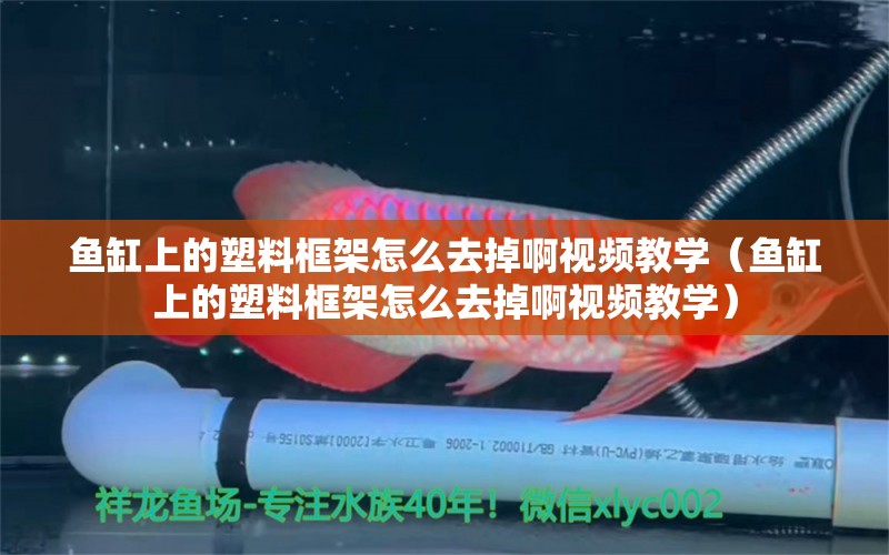 魚缸上的塑料框架怎么去掉啊視頻教學(xué)（魚缸上的塑料框架怎么去掉啊視頻教學(xué)）