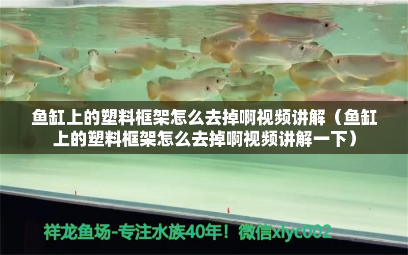 魚缸上的塑料框架怎么去掉啊視頻講解（魚缸上的塑料框架怎么去掉啊視頻講解一下）