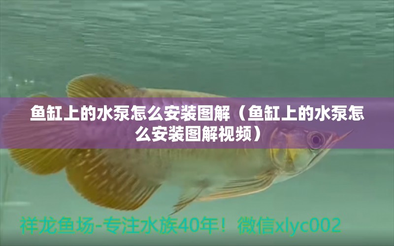 魚缸上的水泵怎么安裝圖解（魚缸上的水泵怎么安裝圖解視頻）