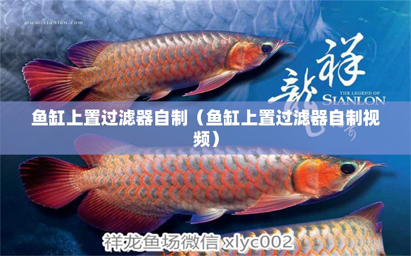 魚缸上置過(guò)濾器自制（魚缸上置過(guò)濾器自制視頻）