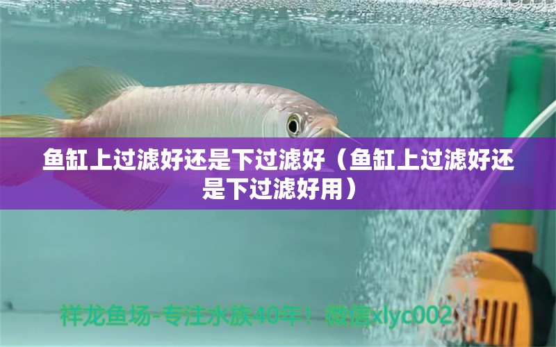 魚缸上過濾好還是下過濾好（魚缸上過濾好還是下過濾好用）