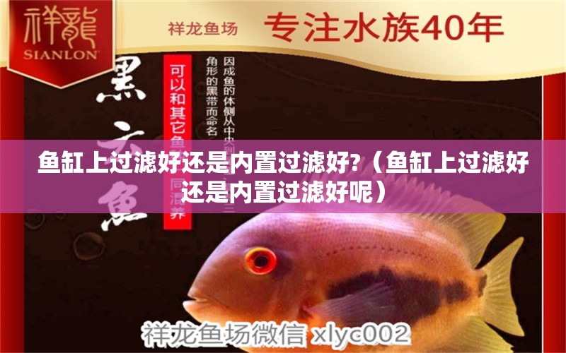 魚缸上過濾好還是內(nèi)置過濾好?（魚缸上過濾好還是內(nèi)置過濾好呢）