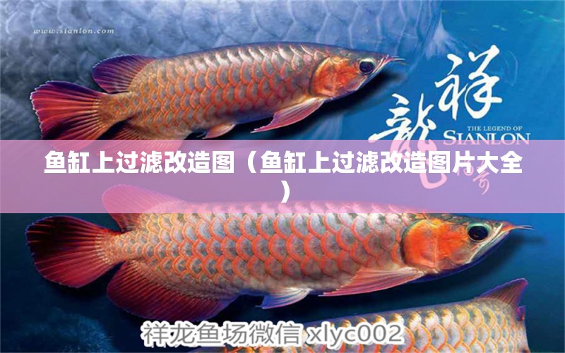 魚缸上過濾改造圖（魚缸上過濾改造圖片大全）