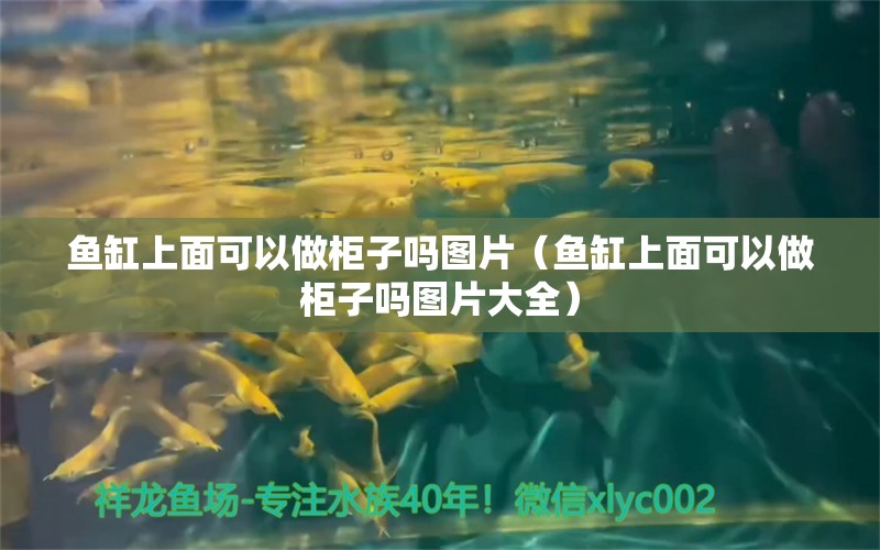 魚缸上面可以做柜子嗎圖片（魚缸上面可以做柜子嗎圖片大全） 祥龍水族醫(yī)院