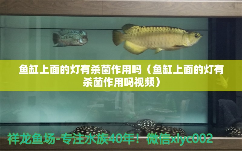 魚缸上面的燈有殺菌作用嗎（魚缸上面的燈有殺菌作用嗎視頻）