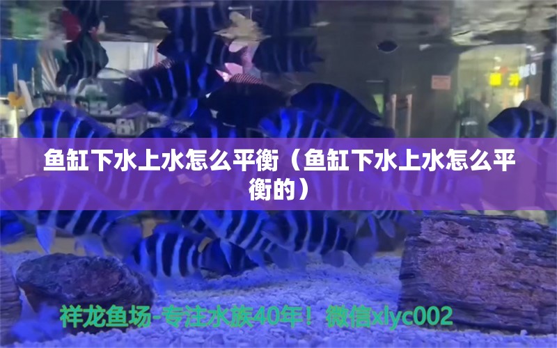 魚缸下水上水怎么平衡（魚缸下水上水怎么平衡的） 量子養(yǎng)魚技術