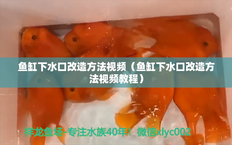 魚缸下水口改造方法視頻（魚缸下水口改造方法視頻教程） 祥龍水族醫(yī)院