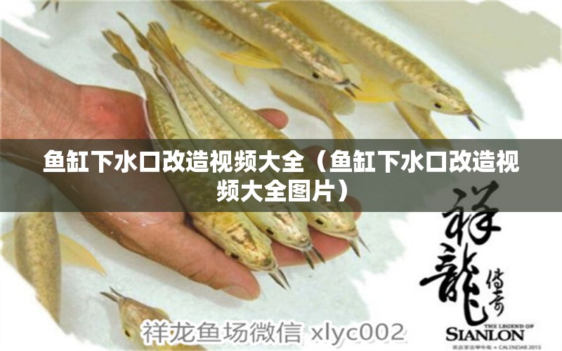 魚缸下水口改造視頻大全（魚缸下水口改造視頻大全圖片）