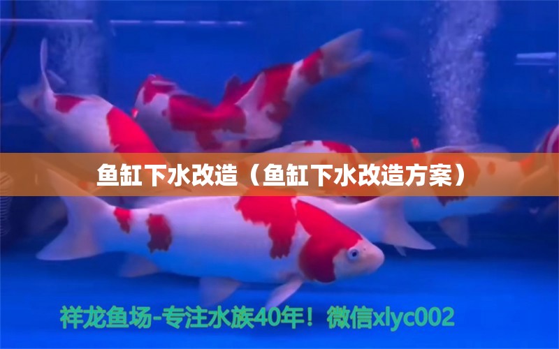 魚缸下水改造（魚缸下水改造方案）