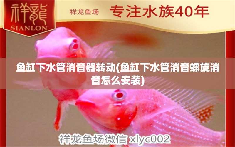 魚缸下水管消音器轉(zhuǎn)動(dòng)(魚缸下水管消音螺旋消音怎么安裝)