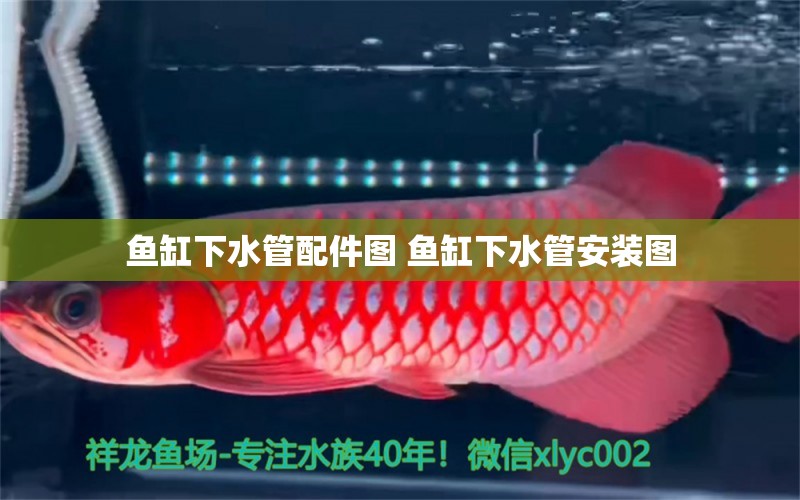 魚(yú)缸下水管配件圖 魚(yú)缸下水管安裝圖 豬鼻龜百科 第1張