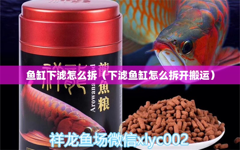 魚缸下濾怎么拆（下濾魚缸怎么拆開搬運(yùn)）