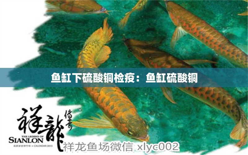 魚缸下硫酸銅檢疫：魚缸硫酸銅