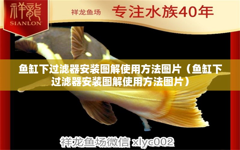 魚(yú)缸下過(guò)濾器安裝圖解使用方法圖片（魚(yú)缸下過(guò)濾器安裝圖解使用方法圖片）