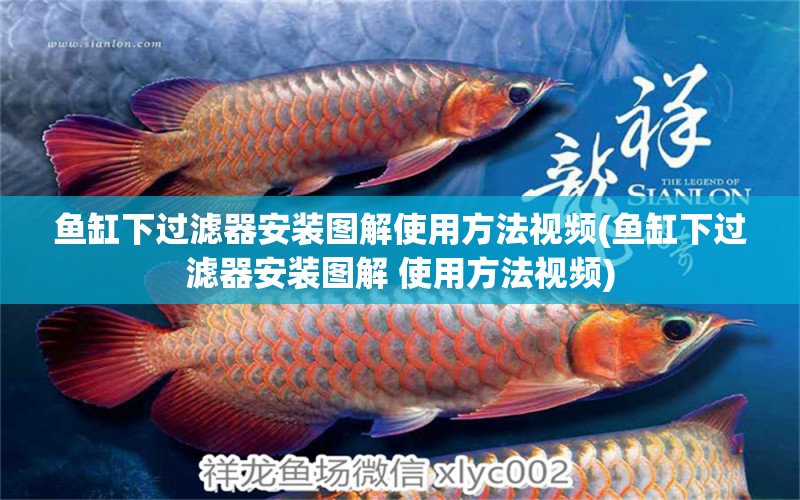 魚缸下過濾器安裝圖解使用方法視頻(魚缸下過濾器安裝圖解 使用方法視頻) 二氧化碳設(shè)備