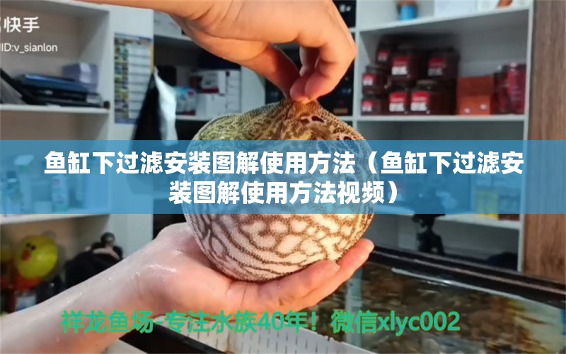 魚缸下過濾安裝圖解使用方法（魚缸下過濾安裝圖解使用方法視頻）