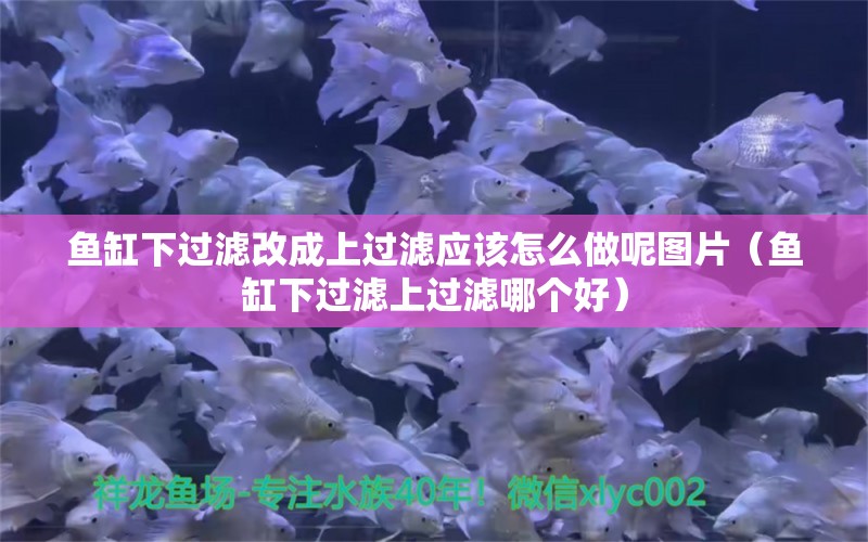 魚缸下過濾改成上過濾應該怎么做呢圖片（魚缸下過濾上過濾哪個好） 森森魚缸