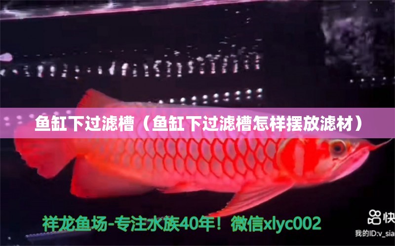 魚缸下過濾槽（魚缸下過濾槽怎樣擺放濾材）