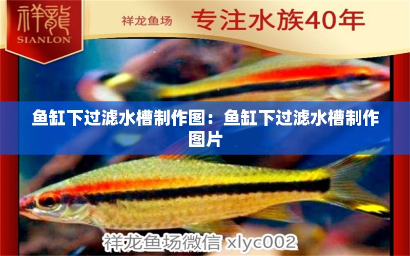 魚缸下過濾水槽制作圖：魚缸下過濾水槽制作圖片