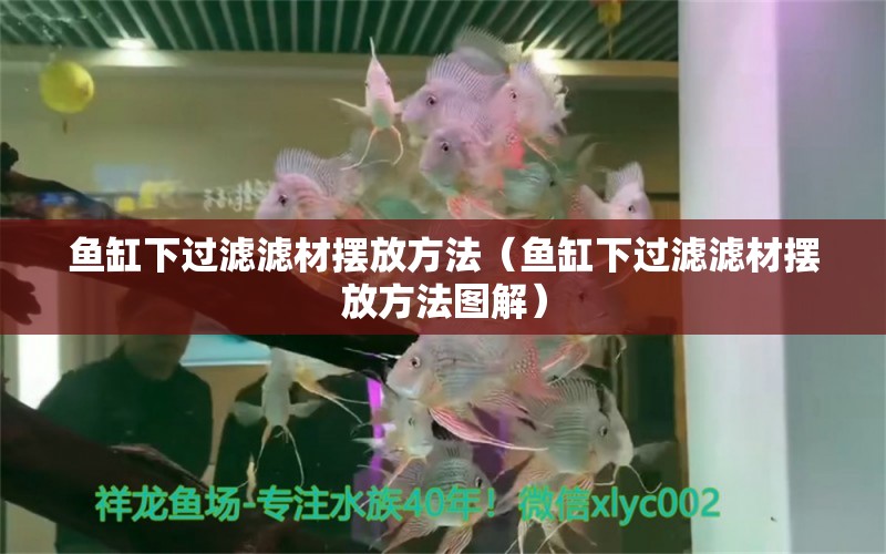 魚缸下過濾濾材擺放方法（魚缸下過濾濾材擺放方法圖解） 祥龍魚場