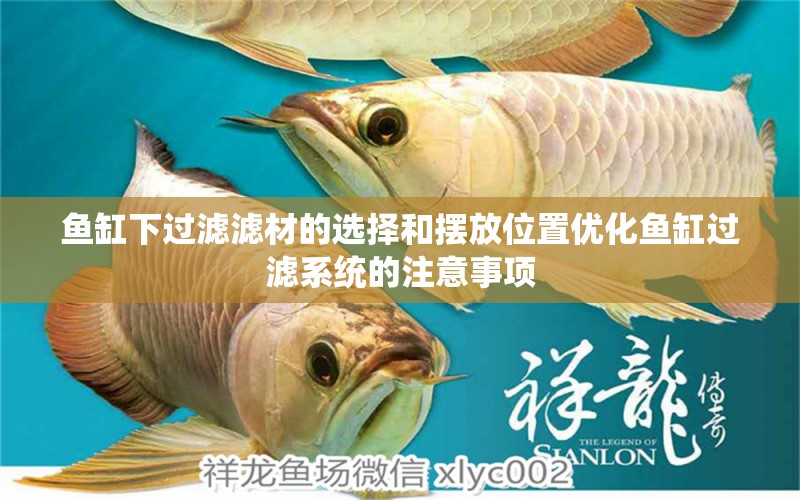 魚缸下過濾濾材的選擇和擺放位置優(yōu)化魚缸過濾系統(tǒng)的注意事項(xiàng) 水族品牌 第1張