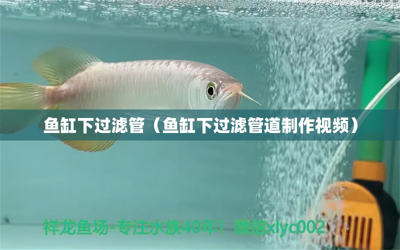 魚缸下過濾管（魚缸下過濾管道制作視頻）