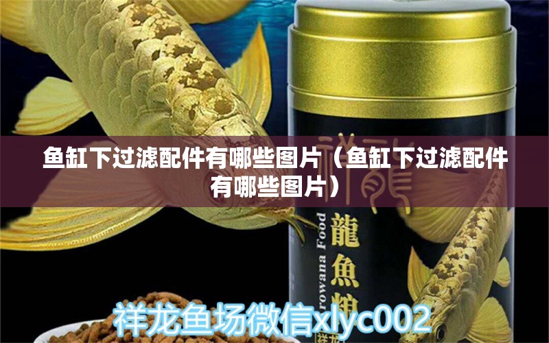 魚缸下過濾配件有哪些圖片（魚缸下過濾配件有哪些圖片） 廣州龍魚批發(fā)市場