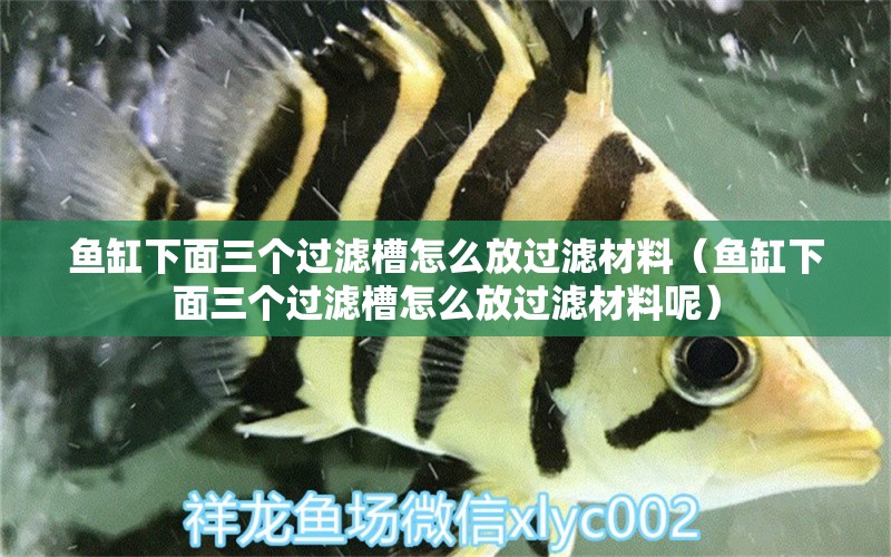 魚(yú)缸下面三個(gè)過(guò)濾槽怎么放過(guò)濾材料（魚(yú)缸下面三個(gè)過(guò)濾槽怎么放過(guò)濾材料呢）